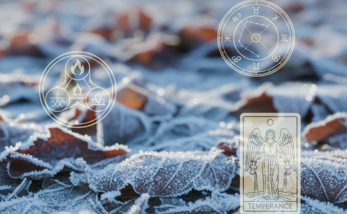 霜降・霜始降 四術融合占い｜10/23 健康運・美容運