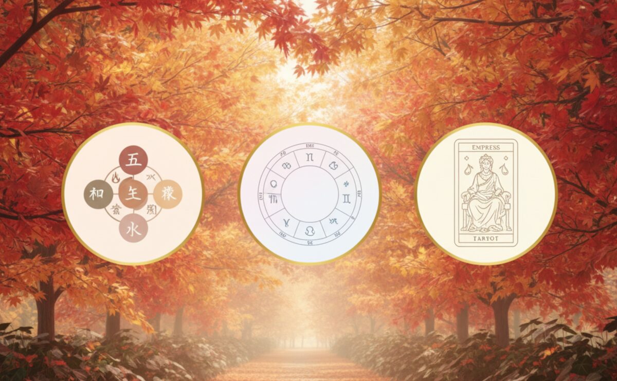 楓蔦黄・霜降 四術融合占い|11/01 家族運・住居運