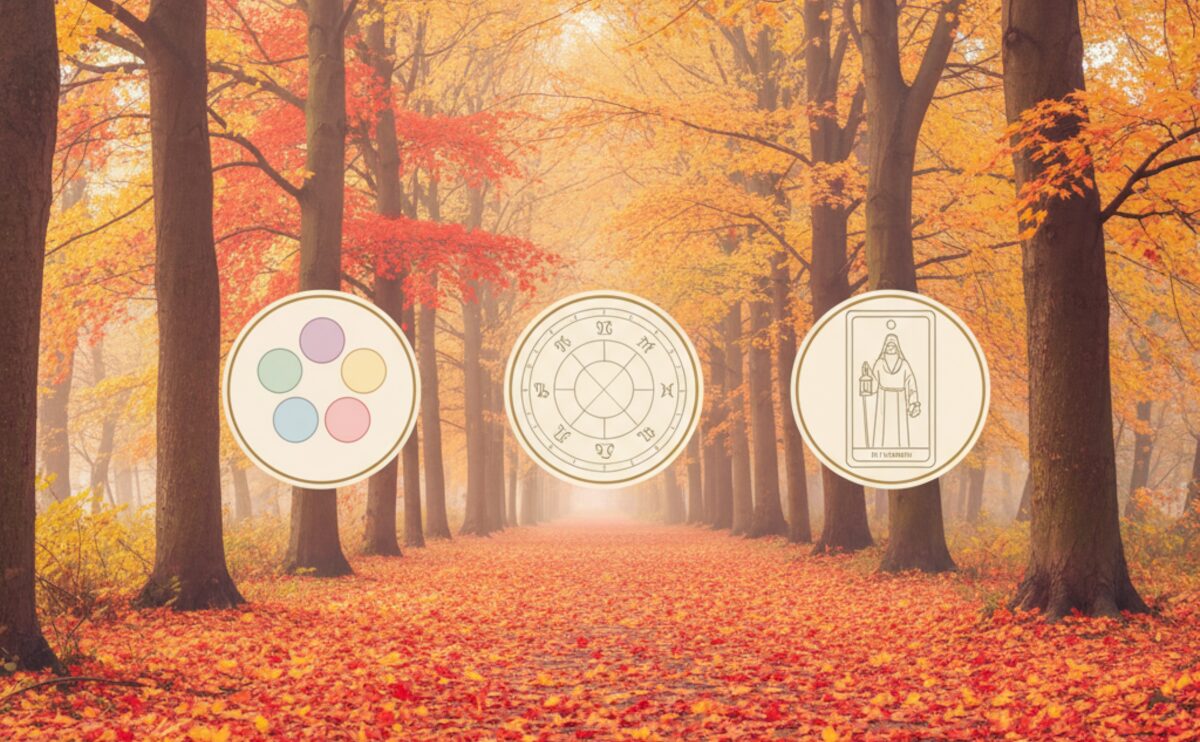 楓蔦黄・霜降 四術融合占い|11/02 総合運・自己成長運