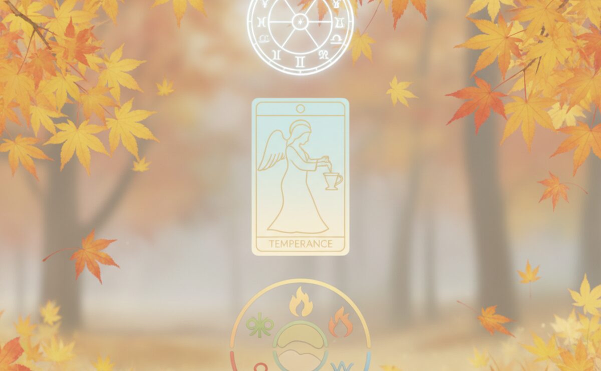 楓蔦黄・霜降 四術融合占い|11/06 金運・買い物運