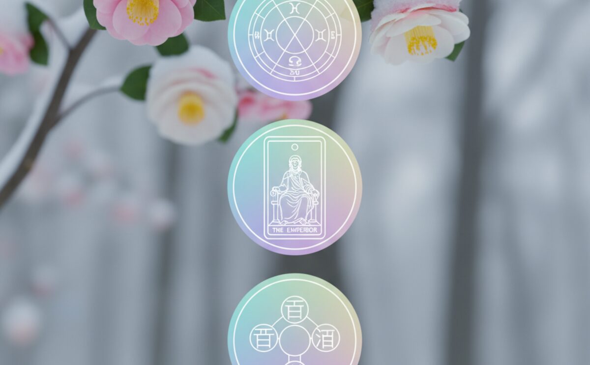 山茶始開・立冬 四術融合占い｜11/08 家族運・住居運