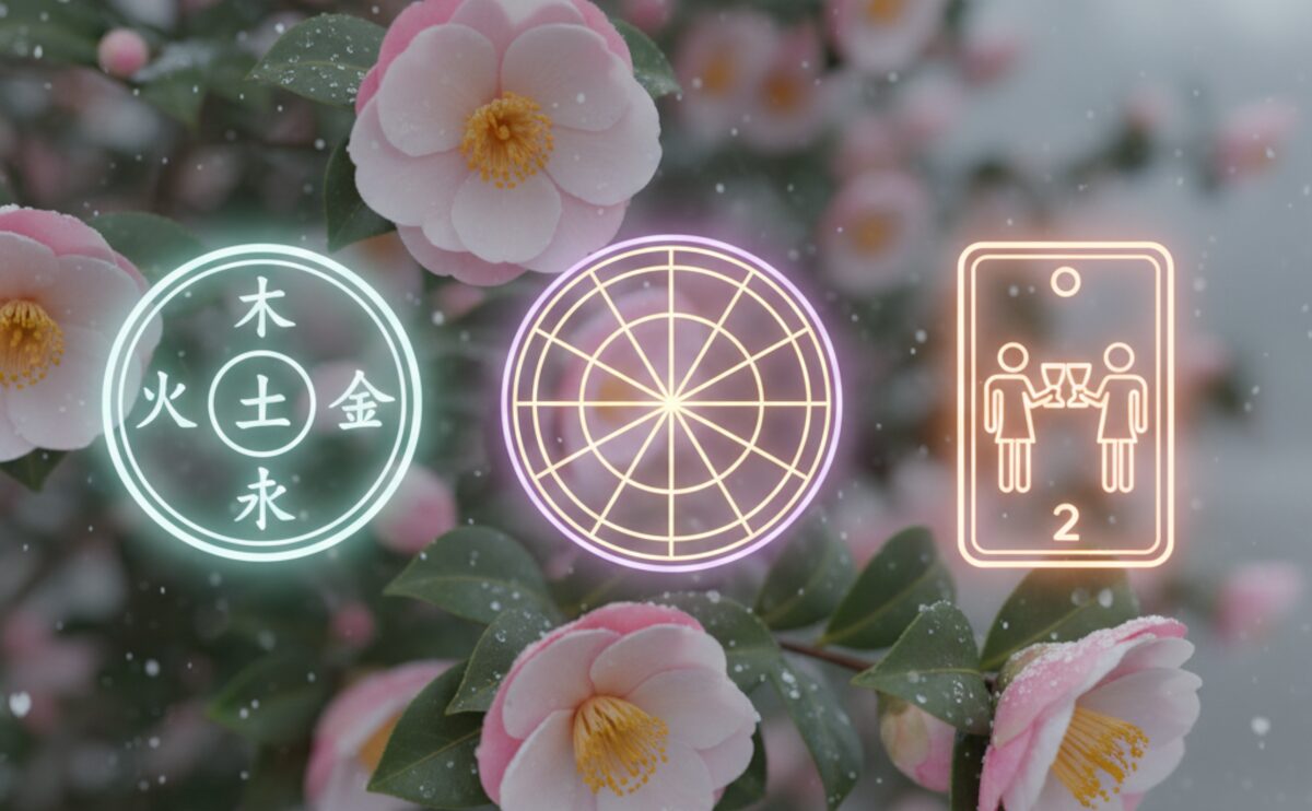 山茶始開・立冬 四術融合占い｜11/10 恋愛運・人間関係運