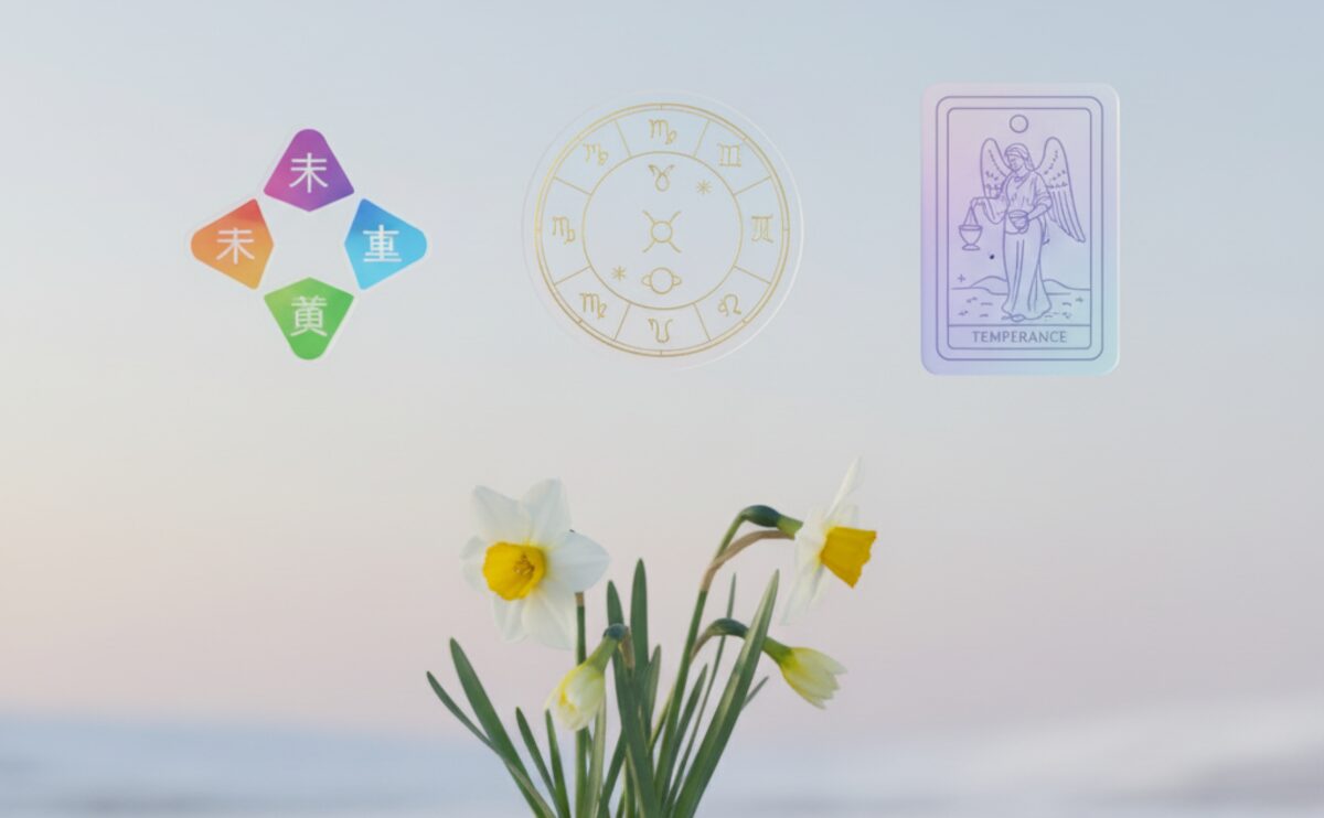 四季巡り四術暦｜金盞香・立冬 11/17 恋愛運・人間関係